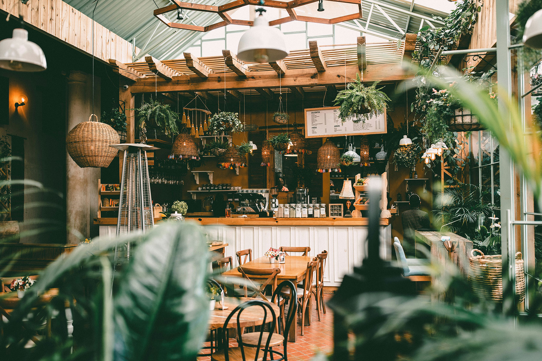 Ambiente plantas restaurante